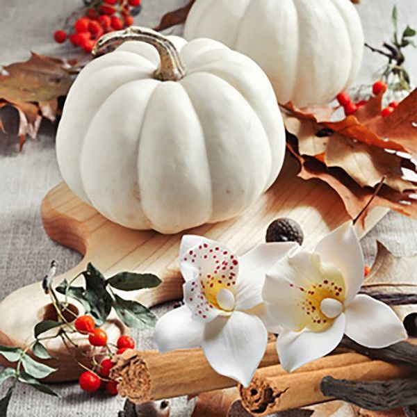 White Pumpkin Amber (Білий гарбуз та бурштин) White Pumpkin Amber фото