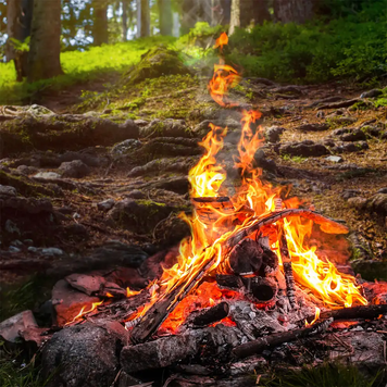 Bonfire Embers (Вугілля з багаття) bonfireembers фото