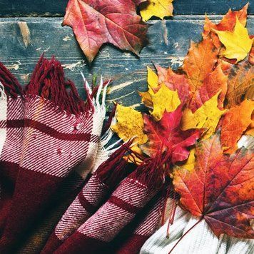 FC Autumn Flannel (Осіння фланель) autufla_fc фото