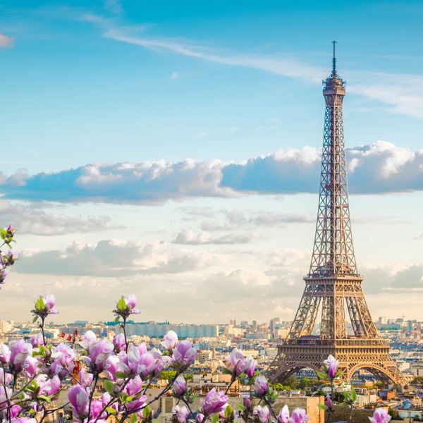 Paris le Fleur тестер смужка ParisleFleur tester фото